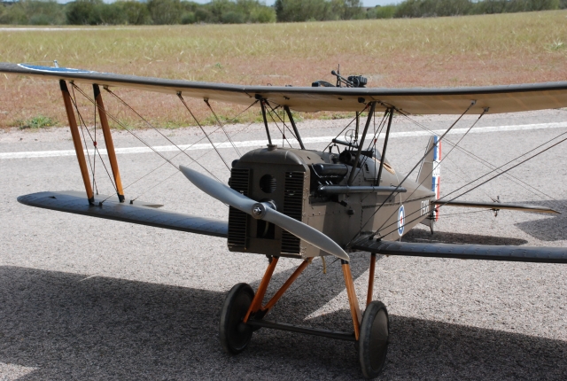 Download Bellota000020 (640Wx430H)