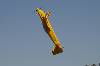 Ram000140 (640Wx427H) -  