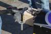 MEM2011-000680 (640Wx427H) -  