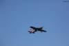 MEM2011-001070 (640Wx427H) -  