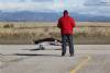 MEM2011-002180 (640Wx427H) -  
