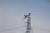 MEM2011-002940 (640Wx427H) -  