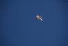 MEM2011-003090 (640Wx427H) -  