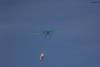 MEM2011-003960 (640Wx427H) -  