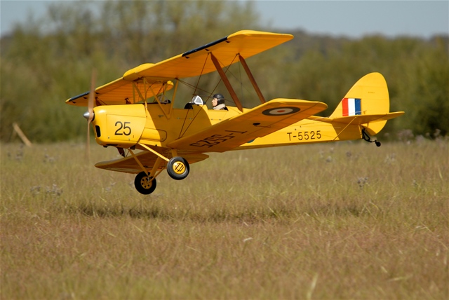 Download Bellota000190 (640Wx428H)