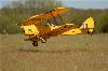 Bellota000190 (640Wx428H) -  