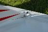 MFS000300 (640Wx426H) -  