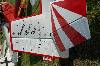 MFS000360 (640Wx426H) -  