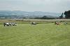 MFS002470 (640Wx426H) -  