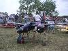 Modelos000020 (640Wx480H) -  